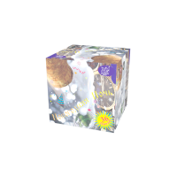 Новогодняя ночь Салют купить в Махачкале | mahachkala.salutsklad.ru