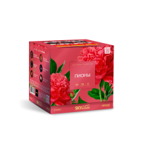 Пионы Салют купить в Махачкале | mahachkala.salutsklad.ru