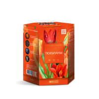 Тюльпаны Салют купить в Махачкале | mahachkala.salutsklad.ru