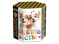 Счастье есть! Салют купить в Махачкале | mahachkala.salutsklad.ru