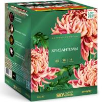 Хризантемы Фейерверк купить в Махачкале | mahachkala.salutsklad.ru