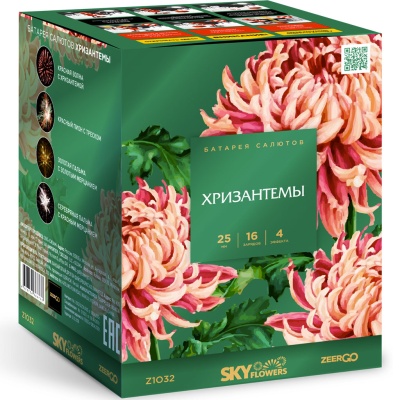 Хризантемы Фейерверк купить в Махачкале | mahachkala.salutsklad.ru