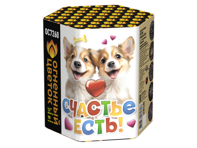 Счастье есть! Салют купить в Махачкале | mahachkala.salutsklad.ru